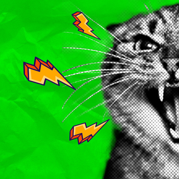 Producto variable 3123312